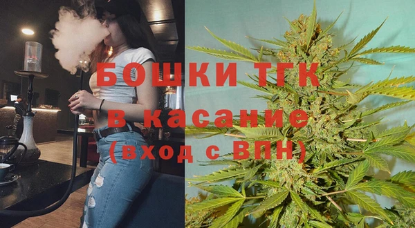 спайс Арсеньев