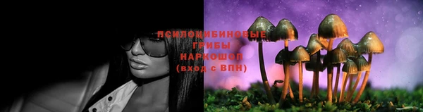 метадон Аркадак