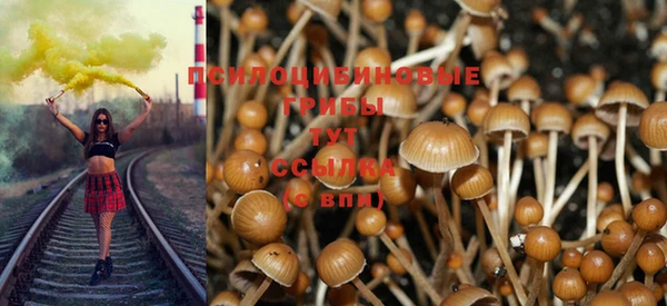 метадон Аркадак