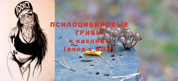 метадон Аркадак